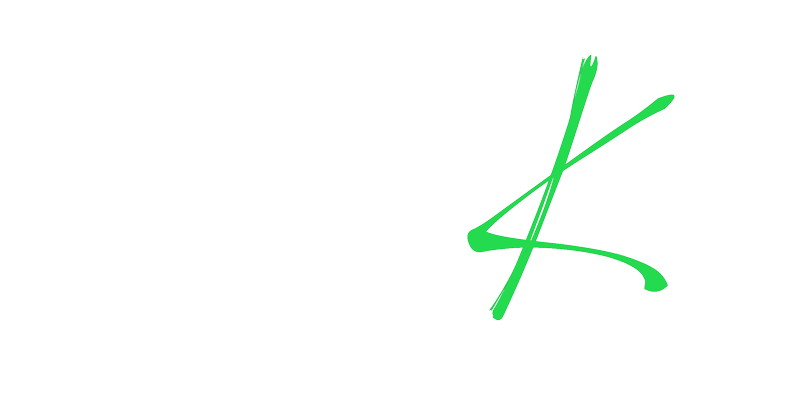 Stray kids логотип без фона